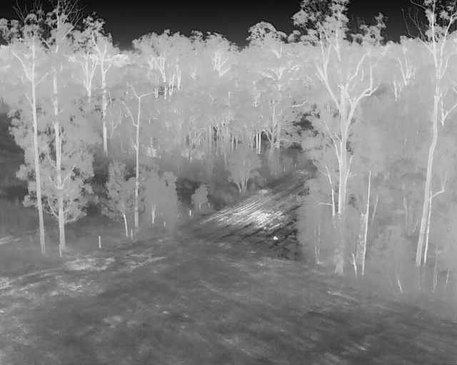 Thermal Imaging from Drone